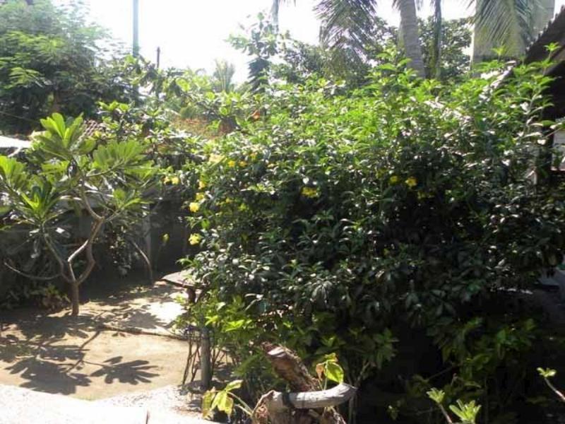 גילי טרוונגן Malino Homestay מראה חיצוני תמונה
